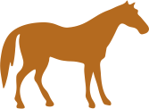Kategorie TK-Pferd