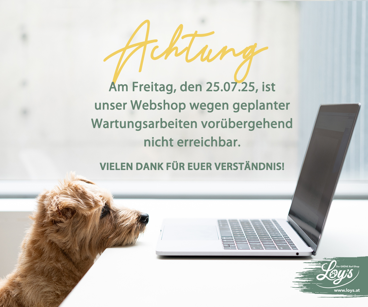 PopUp Wartungsarbeiten