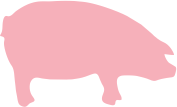 Schwein getrocknet