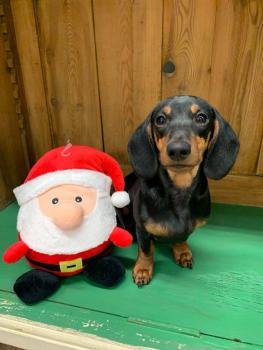 Plüschball Weihnachtsmann