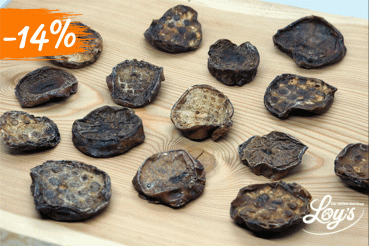 Energy Chips - Aktion