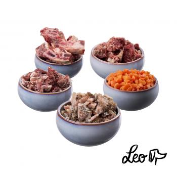 Leo Barf Probierpaket – Tiefgekühlte Vielfalt zum Sonderpreis - Leo Barf