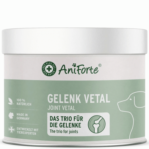 Ani Forte GelenkVetal3