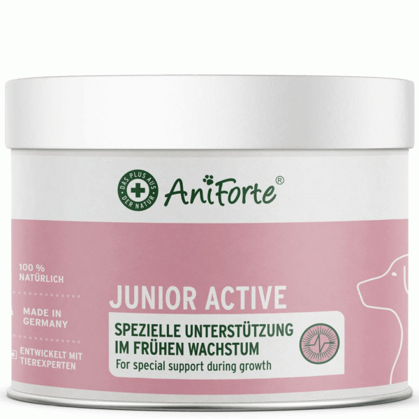 Junior Active