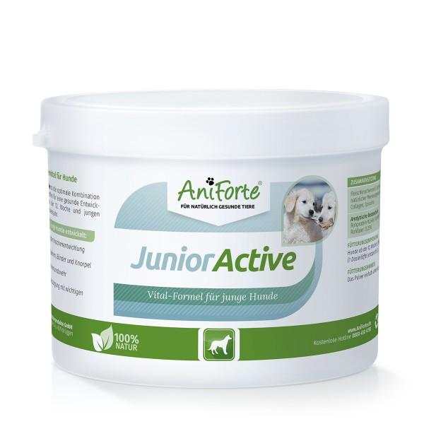 AniForte Junior Active